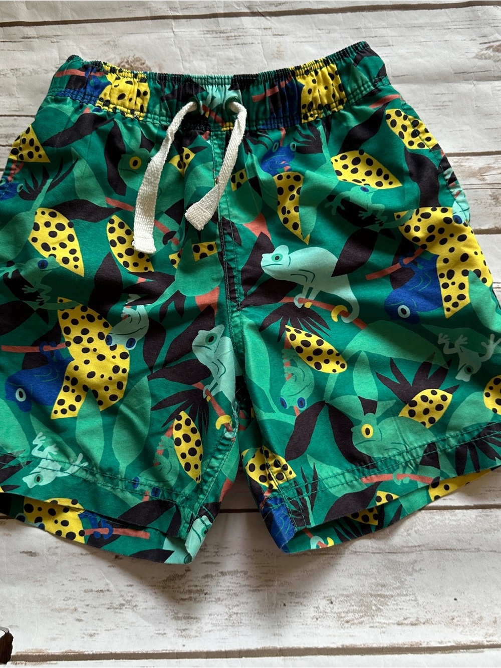 Hanna chameleon swim trunks vguc 100